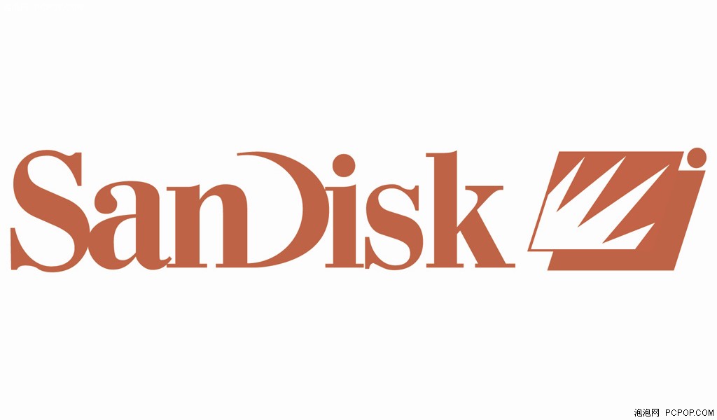               sandisk-闪迪